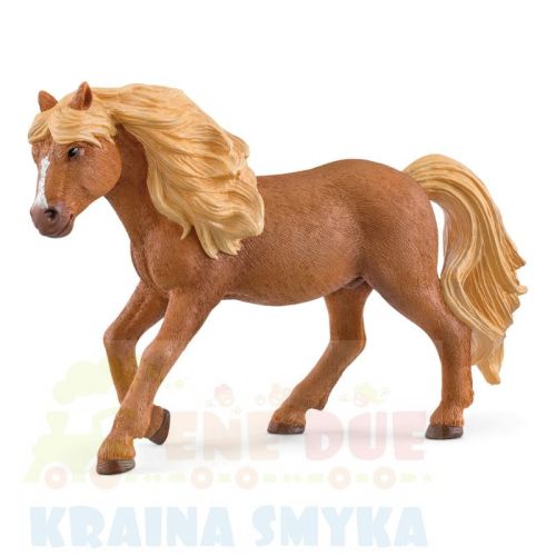 islandzki.jpg