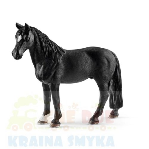 schleich13832.jpg