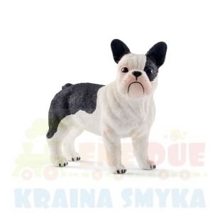 Schleich 13877 francuski buldog  3+