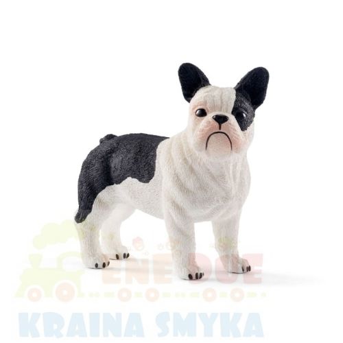 schleich13877.jpg