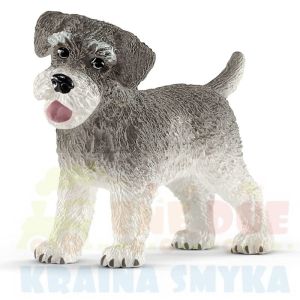 Schleich 13892 Sznaucer miniaturowy 3+