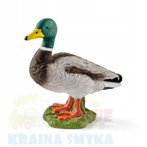 SCHLEICH-13824-KACZOR-figurka-premium-WWA.jpg
