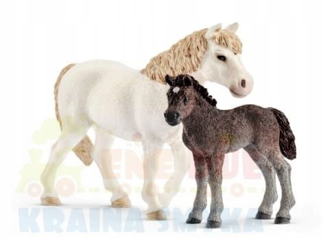 Kucyk-klacz-i-zrebie-Schleich-42423.jpg