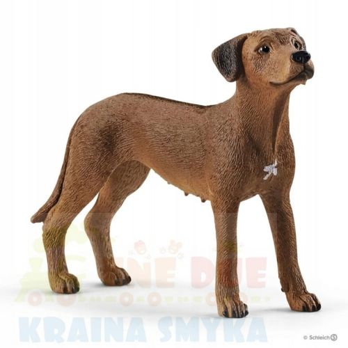 SCHLEICH-13895-PIES-RASY-RHODESIAN-RIDGEBACK.jpg