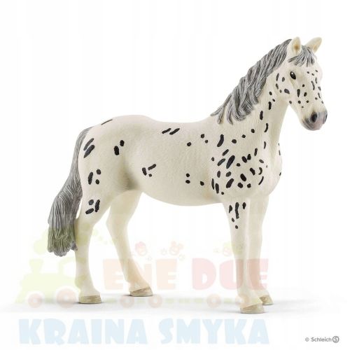 SCHLEICH-13910-KLACZ-RASY-KNABSTRUPPER-kon-zwierze.jpg
