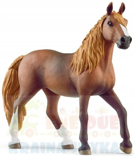 SCHLEICH-13953-KON-KLACZ-RASY-PASO-PERUWIANSKI.jpg