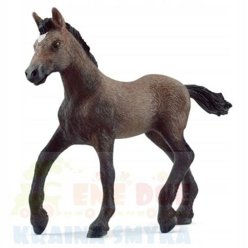 SCHLEICH-13954-ZREBAK-RASY-PASO-PERUANO.jpg