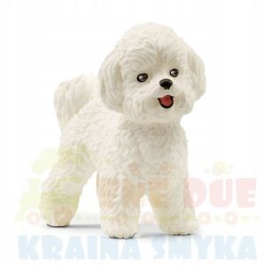 Schleich 13963 Pies rasy Bichon Frise