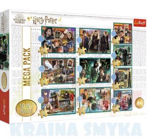 Trefl Puzzle 10w1 Harry Potter 90392