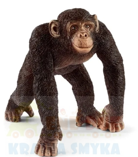 Zrzut ekranu 2024-10-25 120149.png