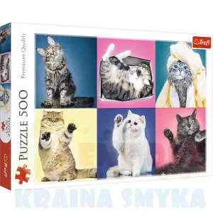 Puzzle 500 koty trefl 37377