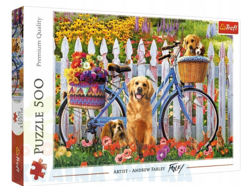 Zrzut ekranu 2025-05-21 104223.png