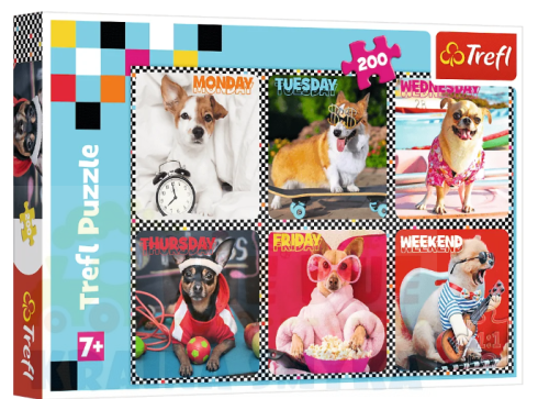 Zrzut ekranu 2025-05-21 113920.png