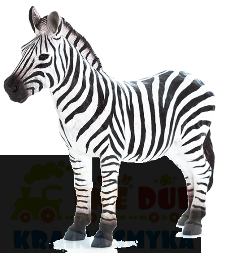f7169 (1).png