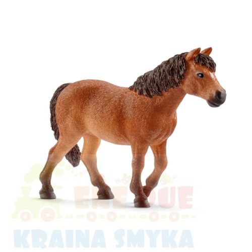 schleich-rasa-dartmoor-klacz-13873.jpg