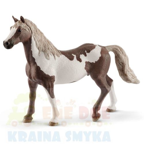 schleich-rasa-paint-kon-walach-13885.jpg