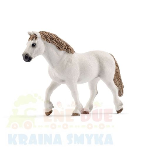 schleich-rasa-walijska-kuc-klacz-13872.jpg