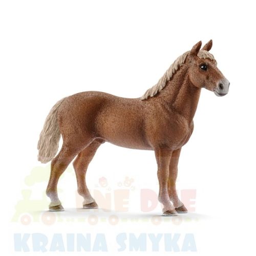 schleich-rasa-morgan-kon-ogier-13869.jpg