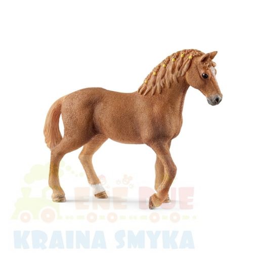 schleich-rasa-quarter-kon-klacz-13852.jpg