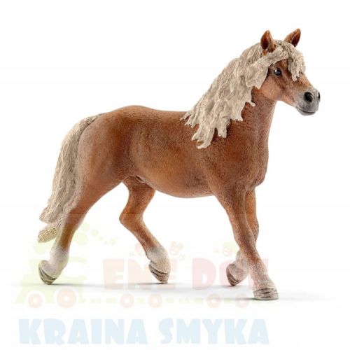 schleich-rasa-haflinger-ogier-13813.jpg