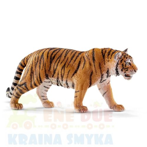 schleich-tygrys-samiec-14729.jpg