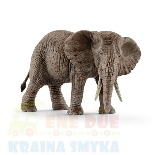schleich-slon-afrykanski-samica-14761.jpg