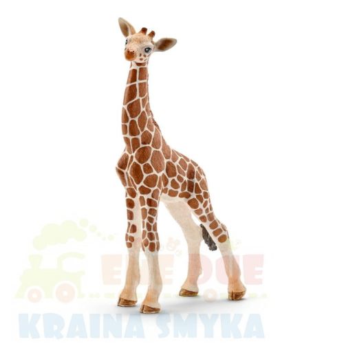 schleich-zyrafa-mloda-14751.jpg