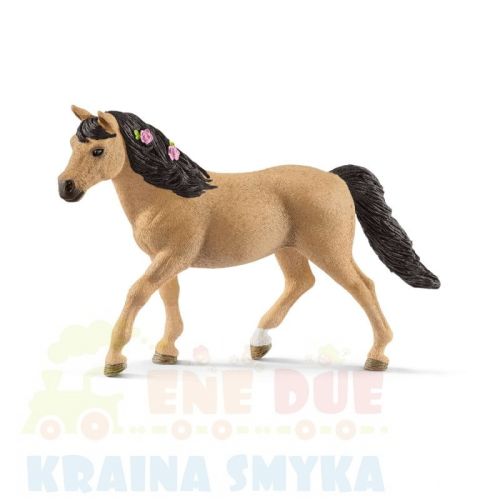 schleich-rasa-connemara-kuc-klacz-13863.jpg